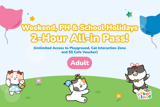 Weekend 2-Hours All-in Pass: Adult