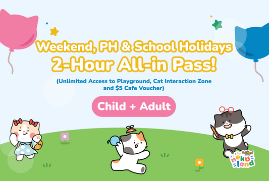 Weekend 2-Hours All-in Pass: Child + Adult