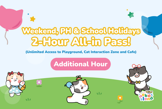 Weekend 2-Hours All-in Pass: Additional Hour