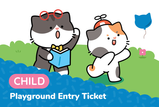 Playground Entry Ticket: Child