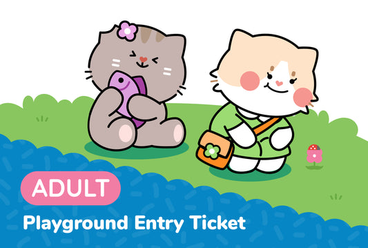 Playground Entry Ticket: Adult