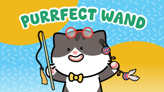 Purrfect Wand Workshop